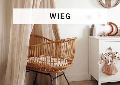 wieg koopgids kinderspullen
